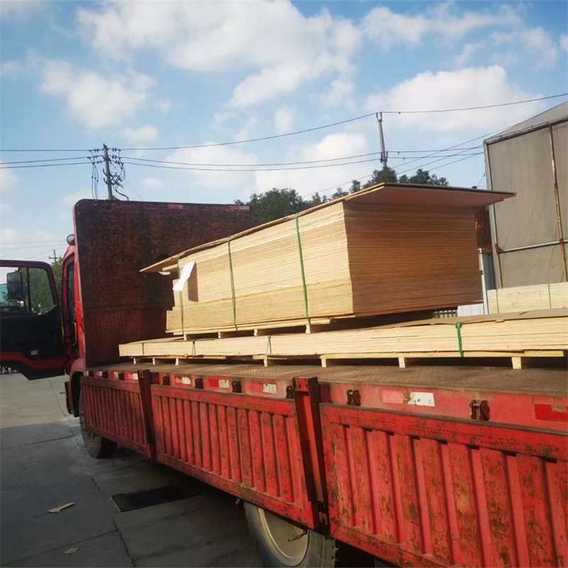 凤泉区通化市物流运输：多元服务与高效线路探秘
