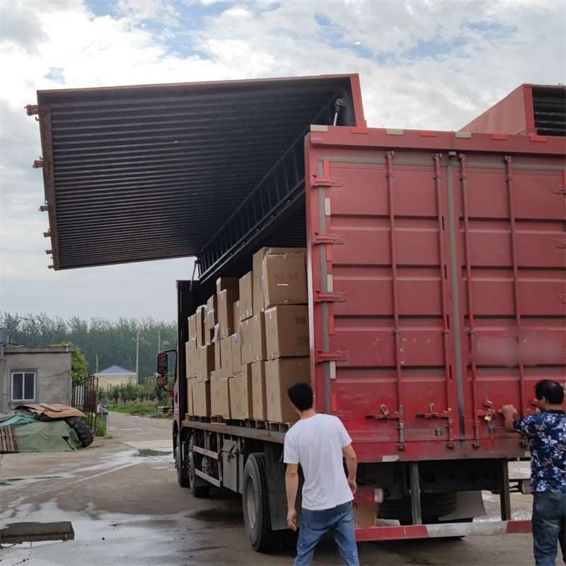 凤泉区扎囊县：物流专线的高效货运之旅
